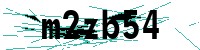 Security verification captcha