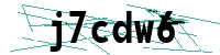 Security verification captcha