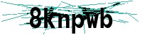 Security verification captcha