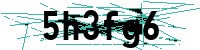 Security verification captcha