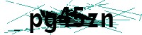 Security verification captcha