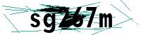 Security verification captcha