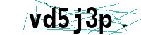 Security verification captcha