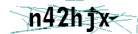 Security verification captcha