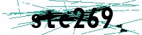 Security verification captcha