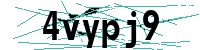 Security verification captcha