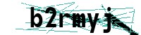 Security verification captcha