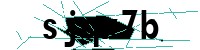 Security verification captcha