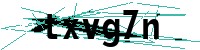 Security verification captcha