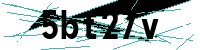 Security verification captcha