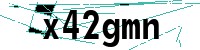 Security verification captcha
