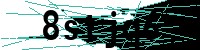 Security verification captcha