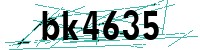 Security verification captcha