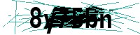 Security verification captcha