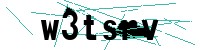Security verification captcha