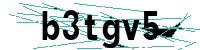 Security verification captcha