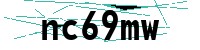 Security verification captcha