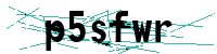 Security verification captcha