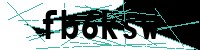 Security verification captcha