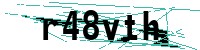 Security verification captcha