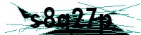 Security verification captcha