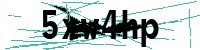 Security verification captcha