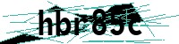 Security verification captcha