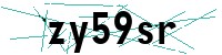 Security verification captcha