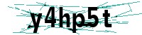 Security verification captcha