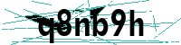 Security verification captcha