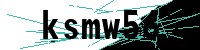 Security verification captcha