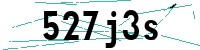 Security verification captcha