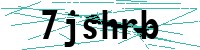 Security verification captcha
