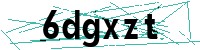 Security verification captcha