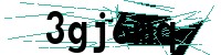 Security verification captcha