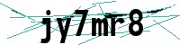 Security verification captcha