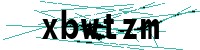 Security verification captcha