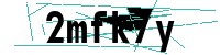 Security verification captcha