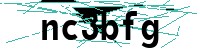 Security verification captcha