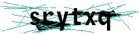 Security verification captcha