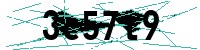 Security verification captcha