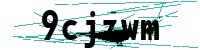 Security verification captcha