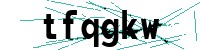 Security verification captcha