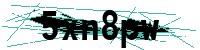 Security verification captcha