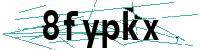 Security verification captcha