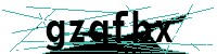 Security verification captcha