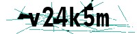 Security verification captcha