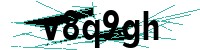 Security verification captcha