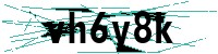 Security verification captcha