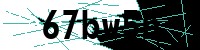 Security verification captcha
